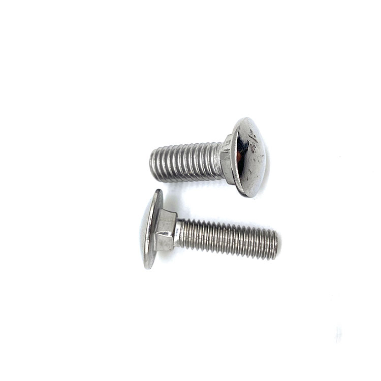 M6 M10 DIN603 INOX A4 RVS 314 316 INOX A2 slotbout